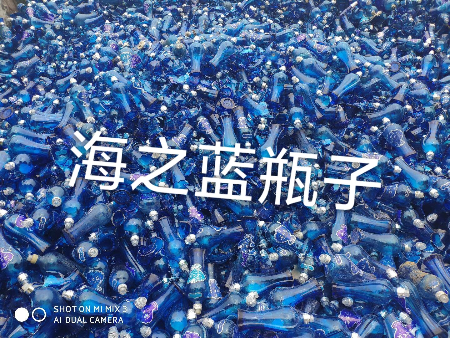 丹徒区海之蓝瓶回收